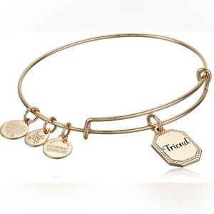 Alex and Ani Because I Love You Friend Expandable Gold Bangle